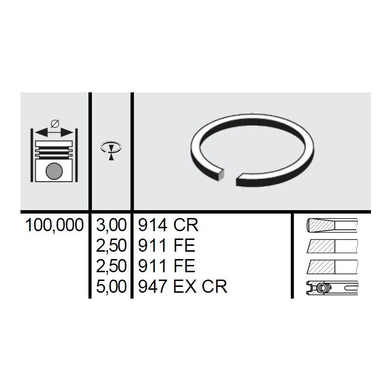 120 015 0006 00 - Set segmenti STD Ø100 3x2,5x2,5x5 mm Deutz 02233074